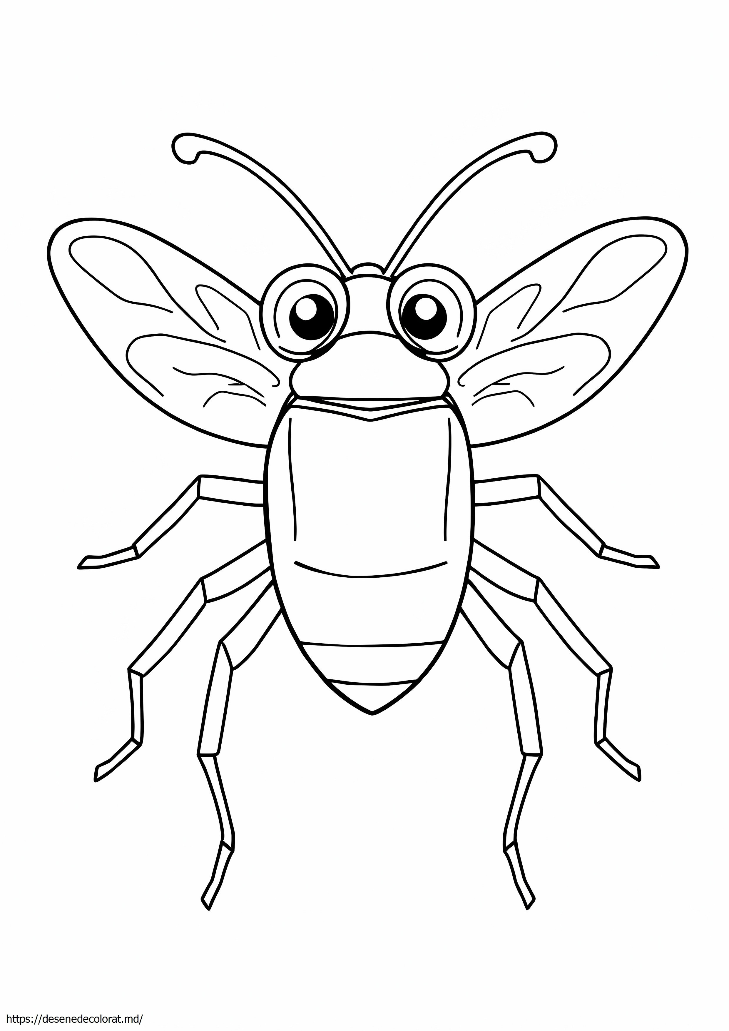 Insectă insectă