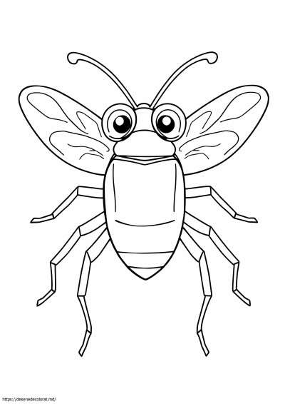 Insectă insectă