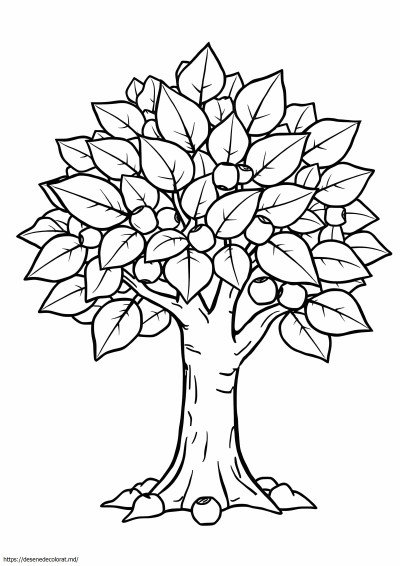 Copac de buckeye