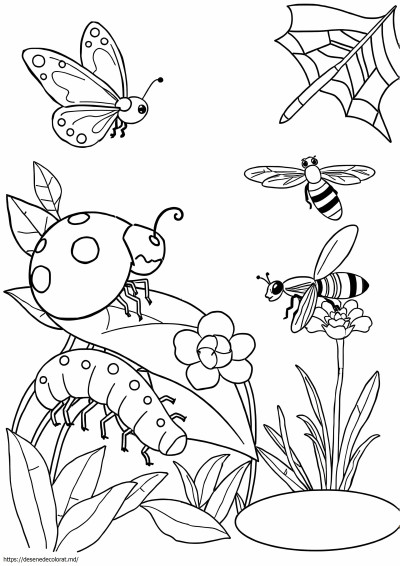 Bug-uri si insecte