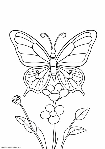 Clip art fluture