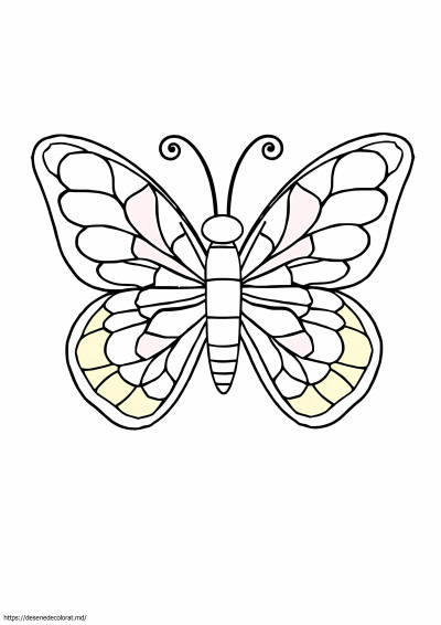Mozaic fluture