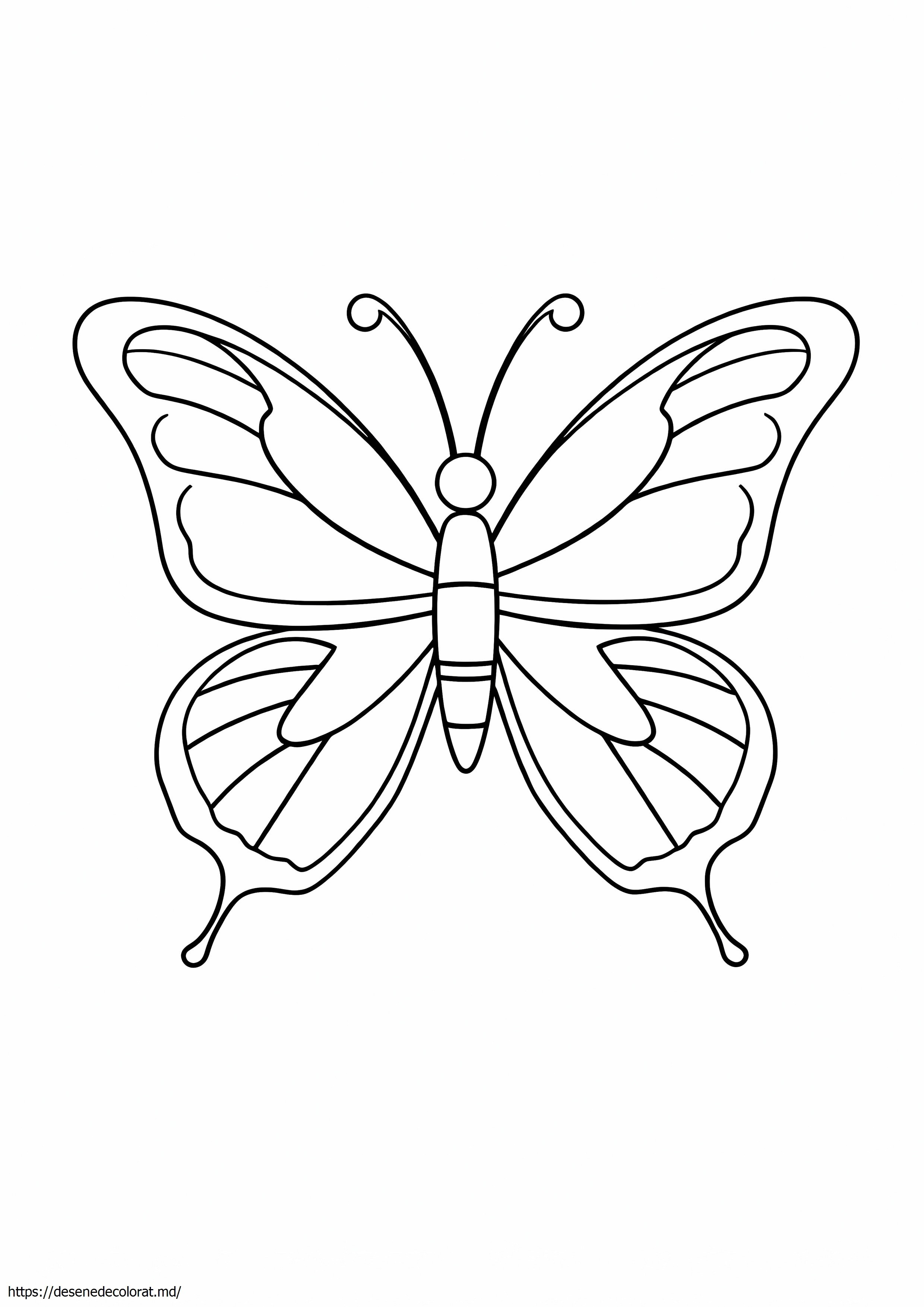 Conturul fluturelui