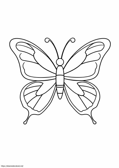 Conturul fluturelui