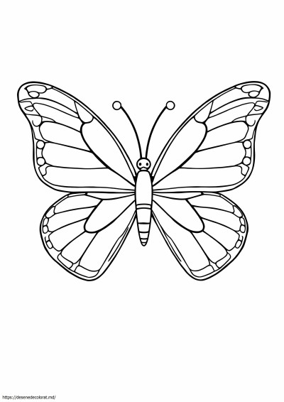 Aripi de fluture