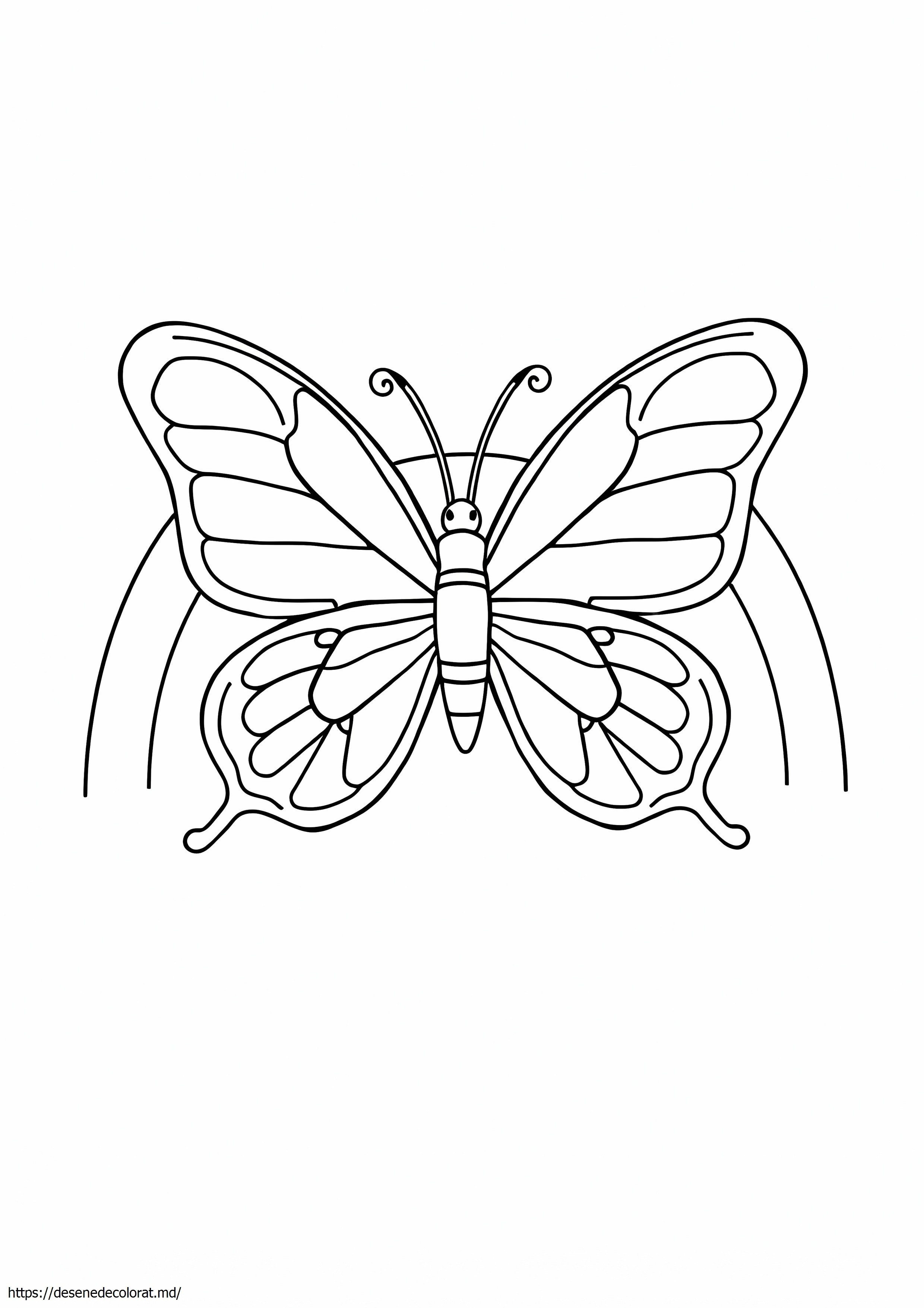 Fluture curcubeu