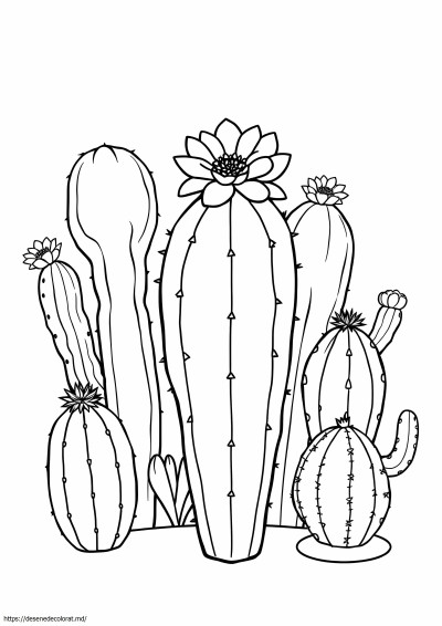 Cactusi