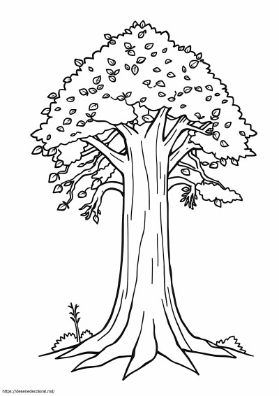 Arborele statului california