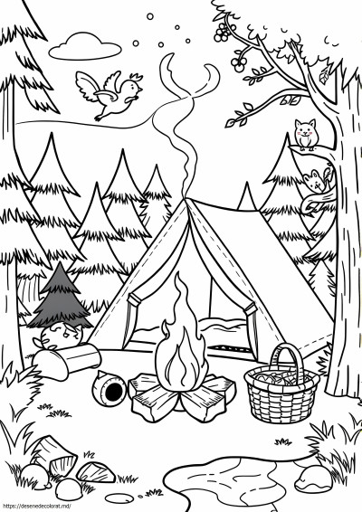 Camping