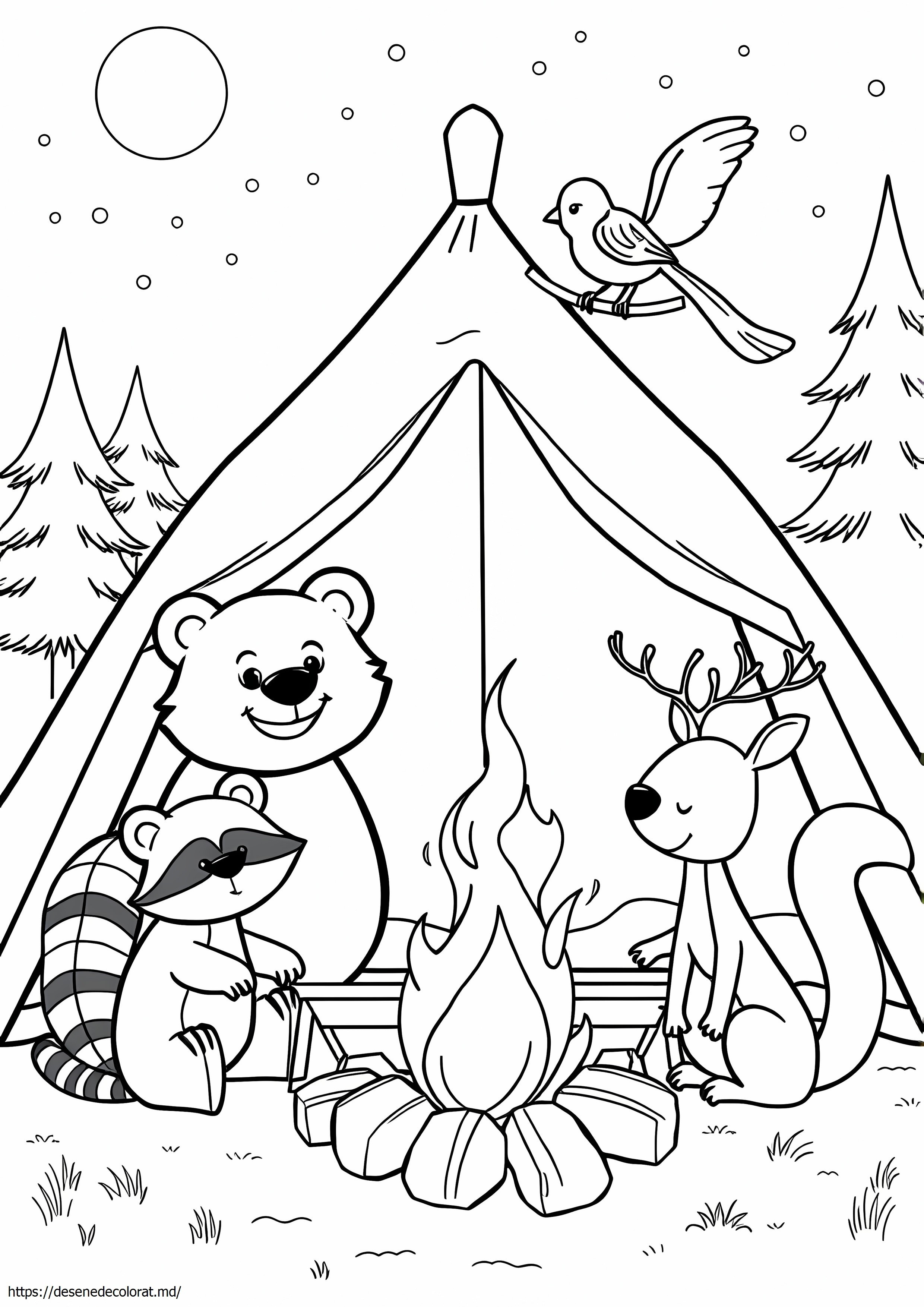 Animale de camping