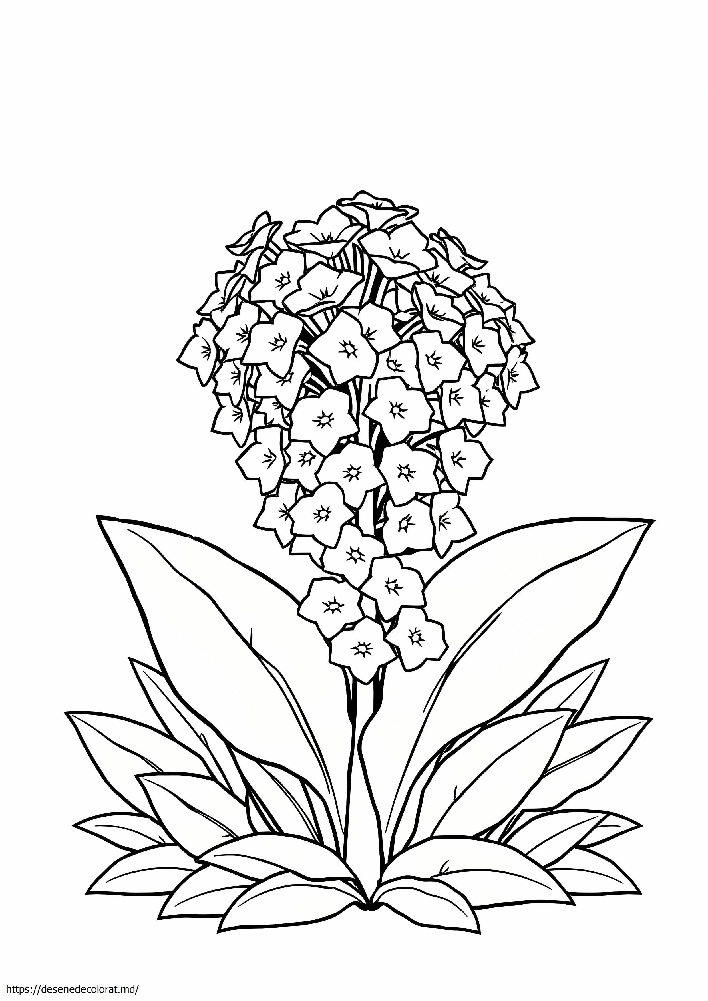 Carpatia