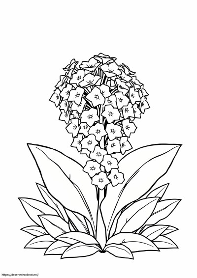 Carpatia