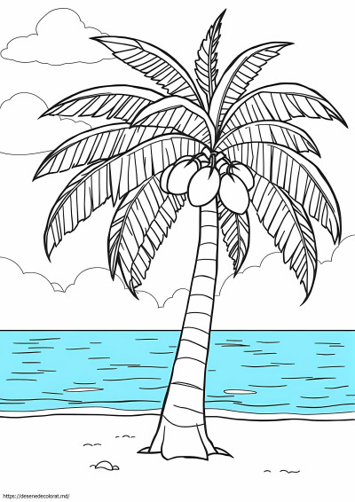 Copac de cocos
