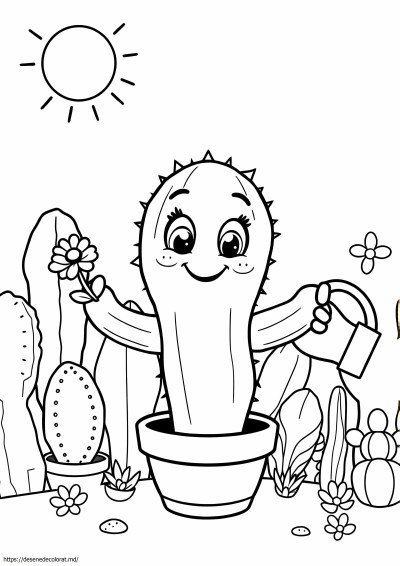 Drăguț cactus