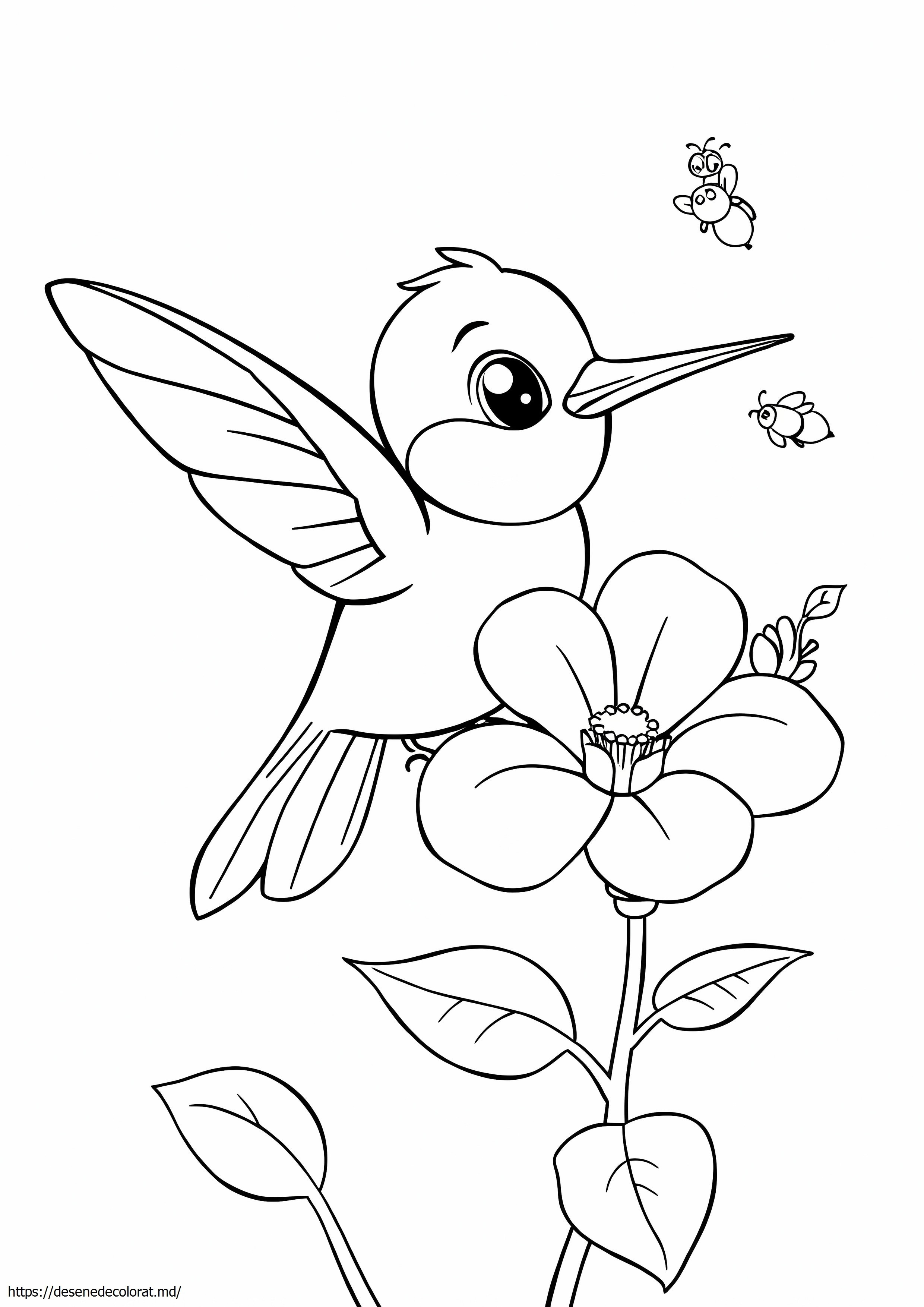 Drăguță pasăre colibri