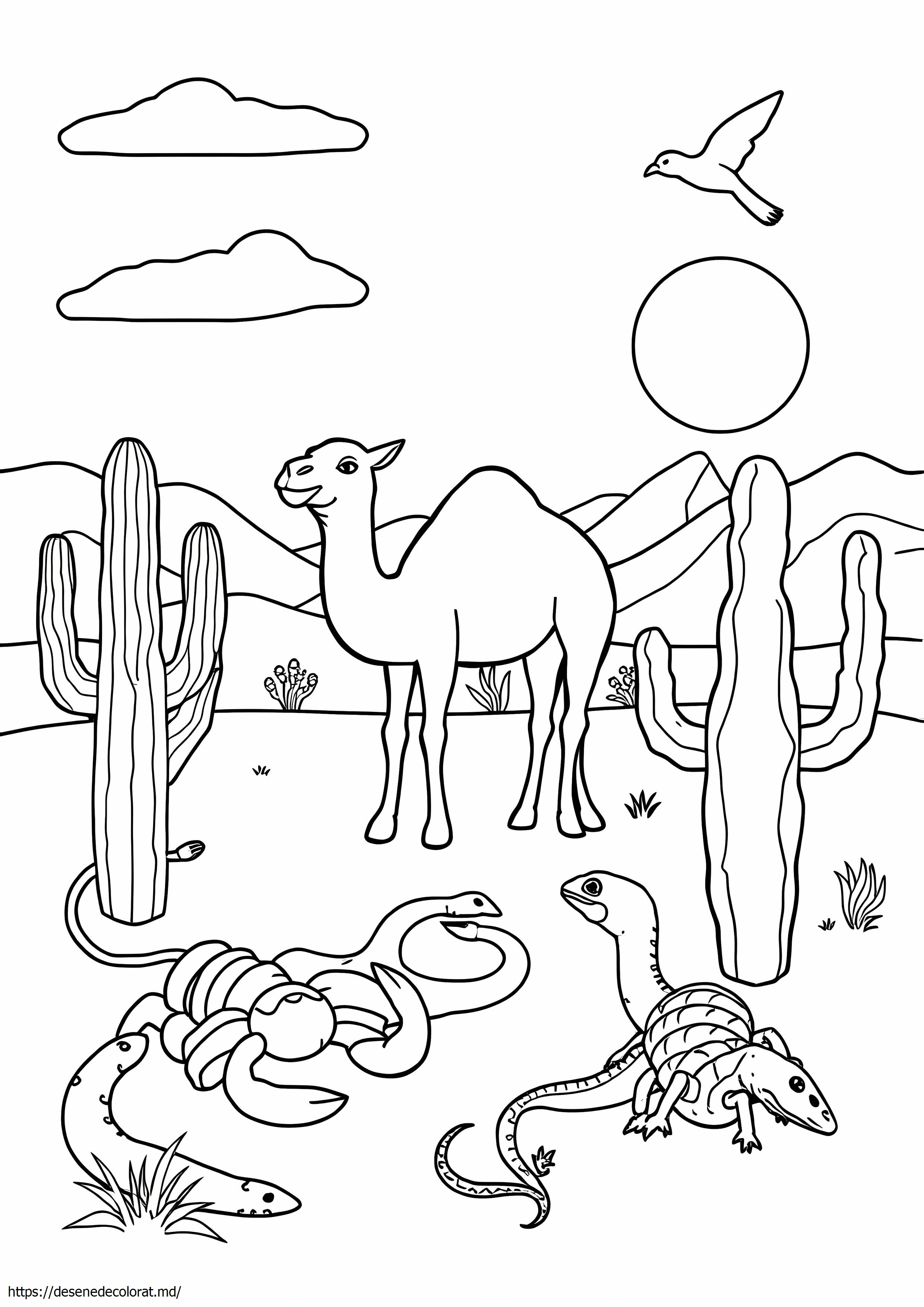 Animale din deșert