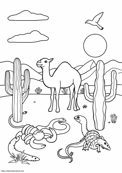 Animale din deșert