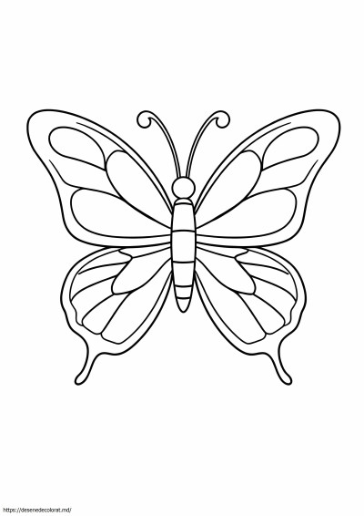 Fluture ușor