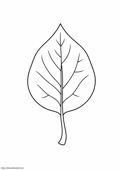 Frunza usoara