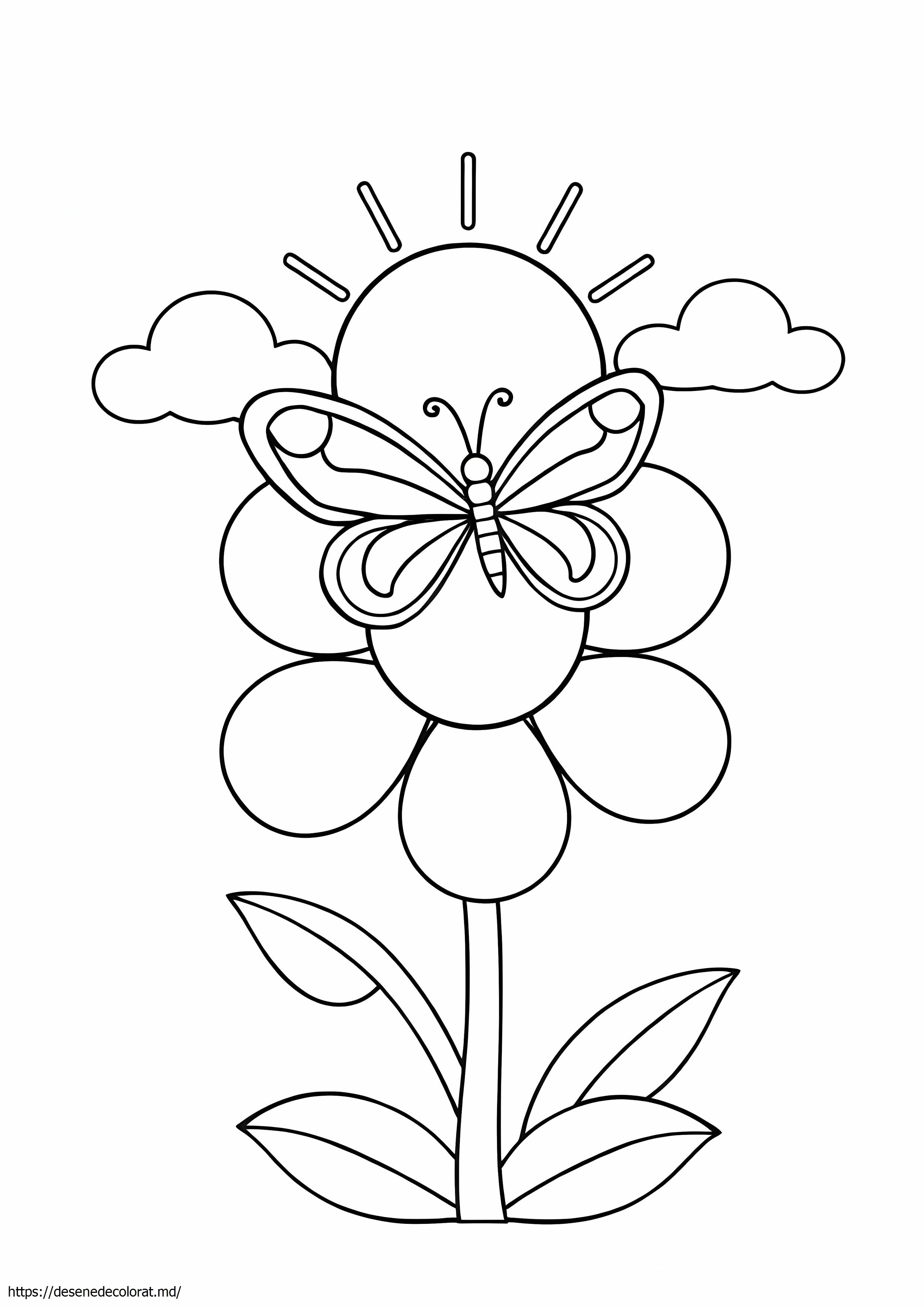 Natura usoara