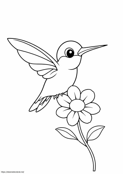 Pasăre colibri ușoară