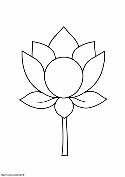 Floare de lotus ușoară