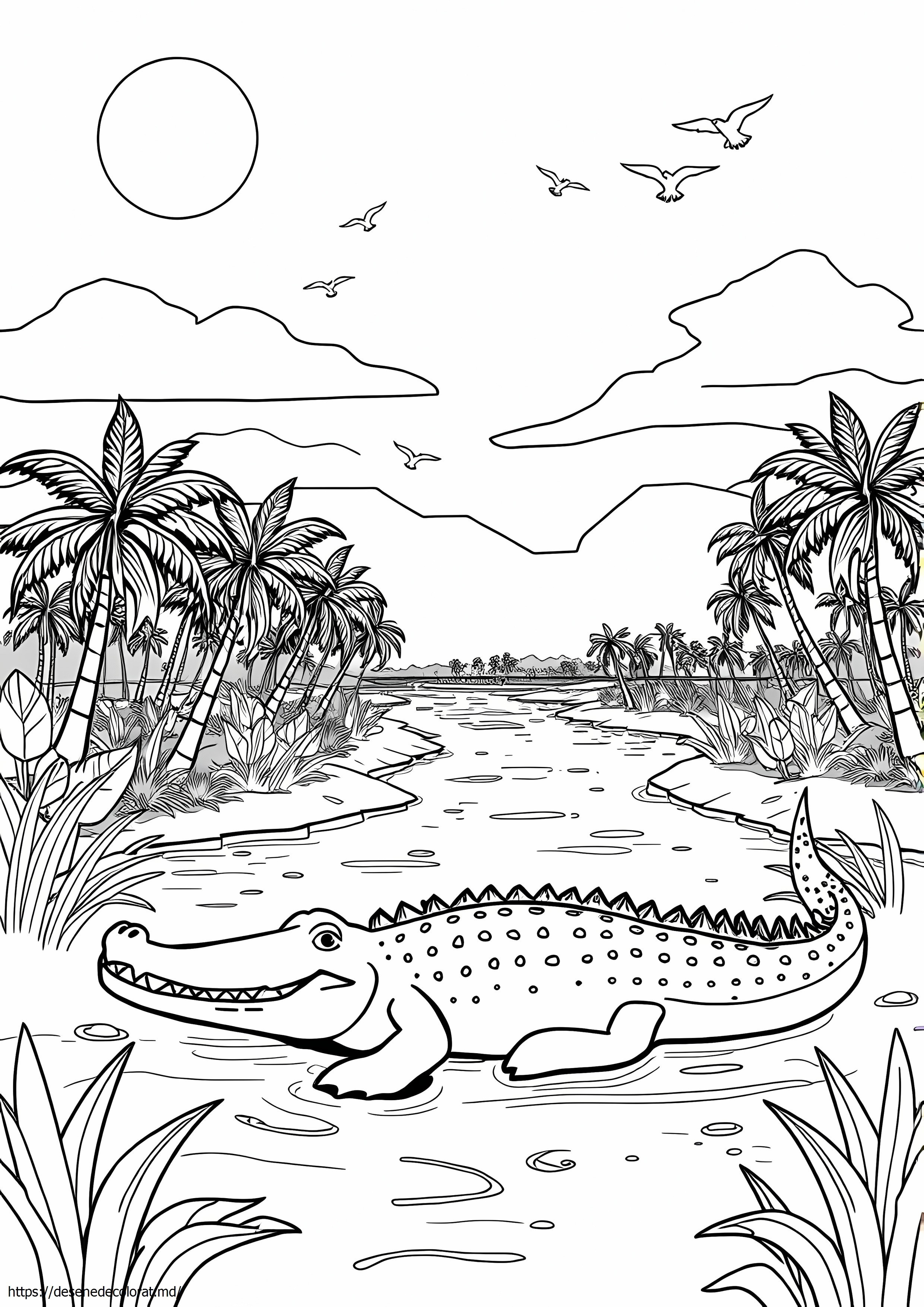 Everglades