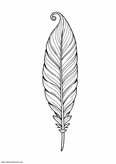 Pană