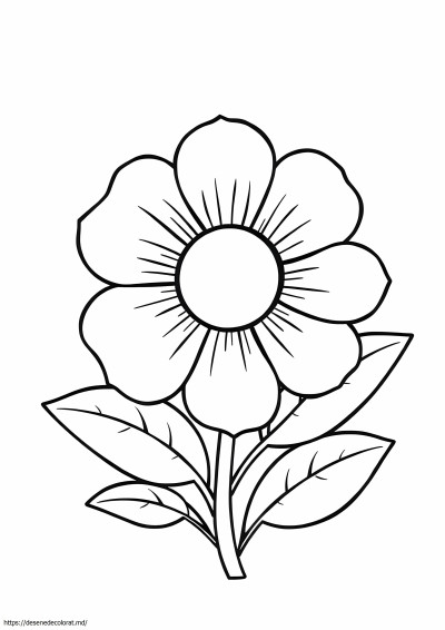 Floare usor