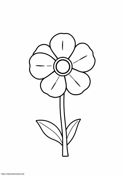 Floare