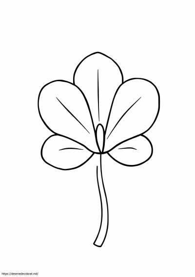 Petala de floare
