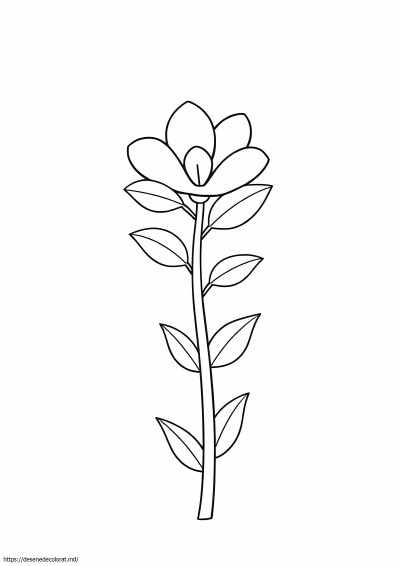 Tulpina de flori