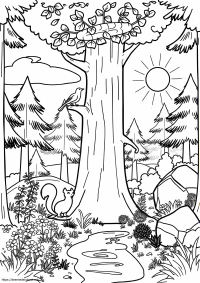 Habitat forestier