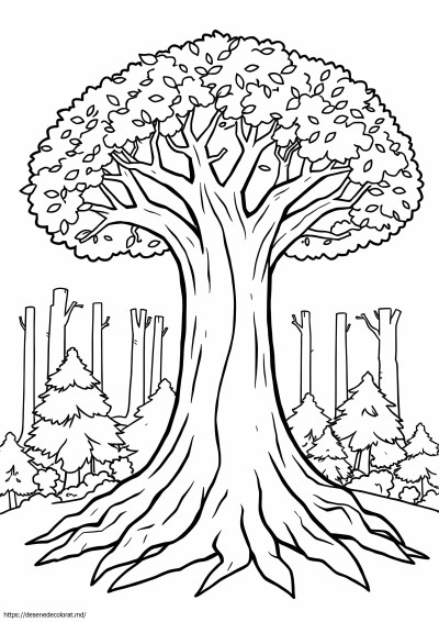 Arbore de pădure