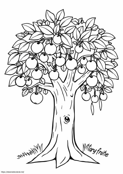 Pom fructifer