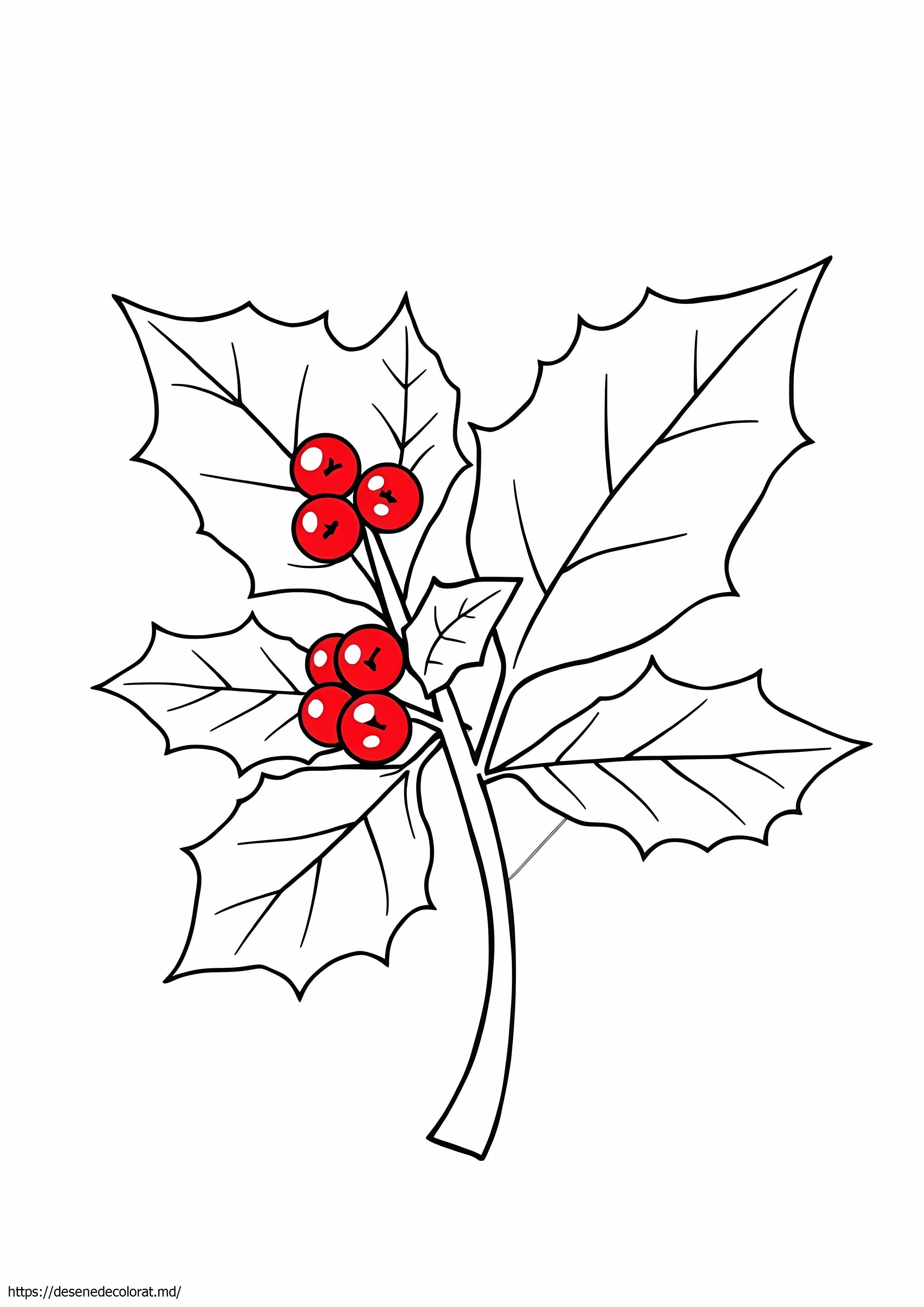 Fructe de pădure