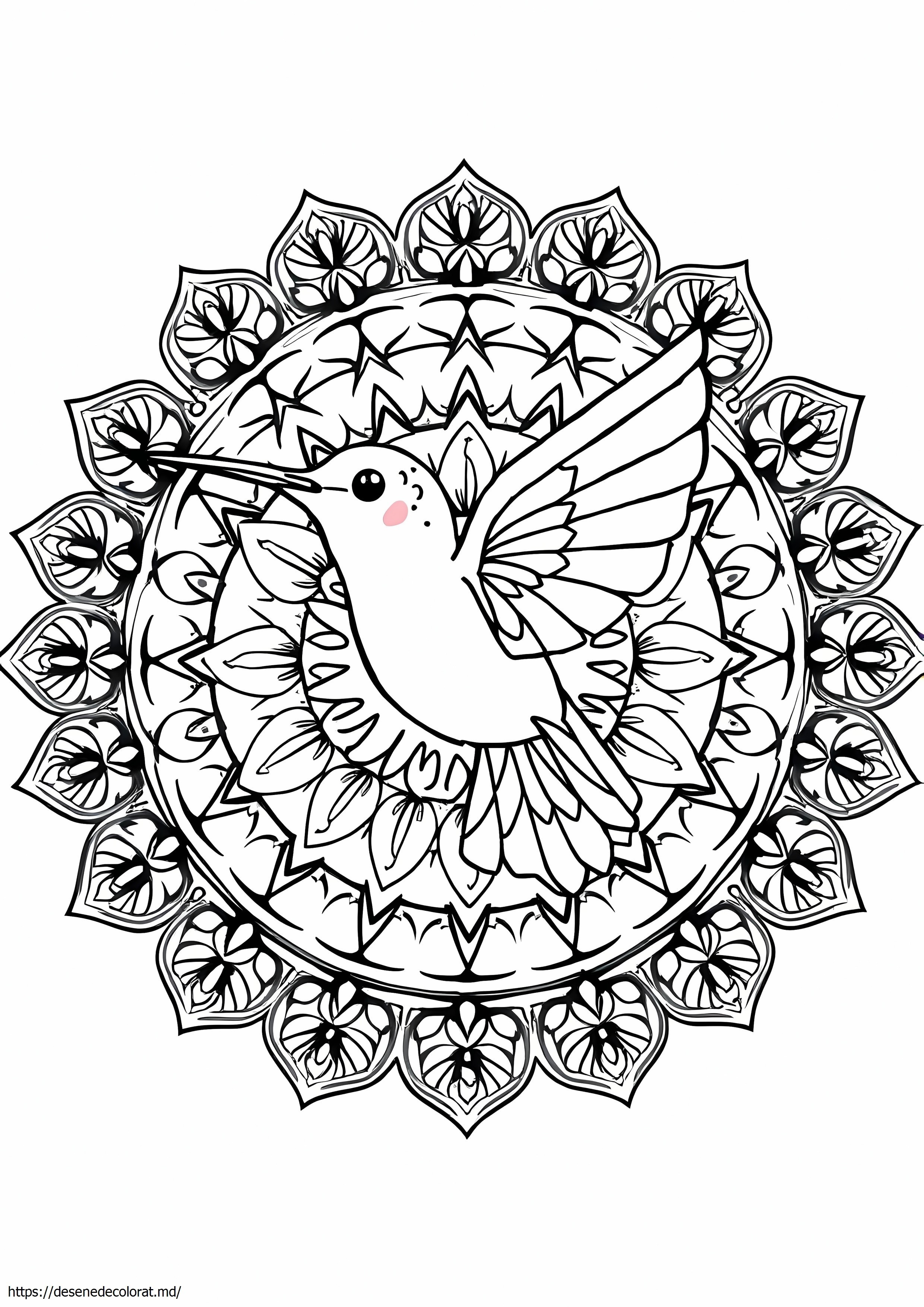 Mandala colibri