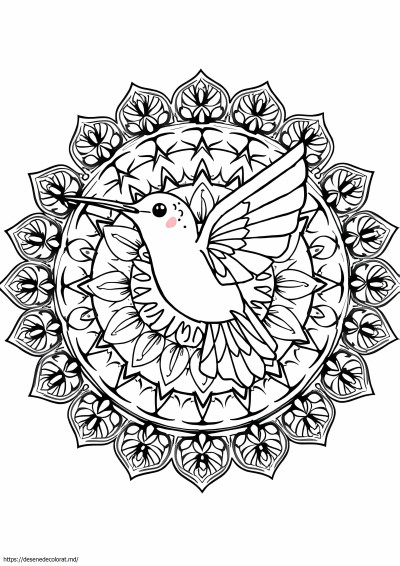 Mandala colibri
