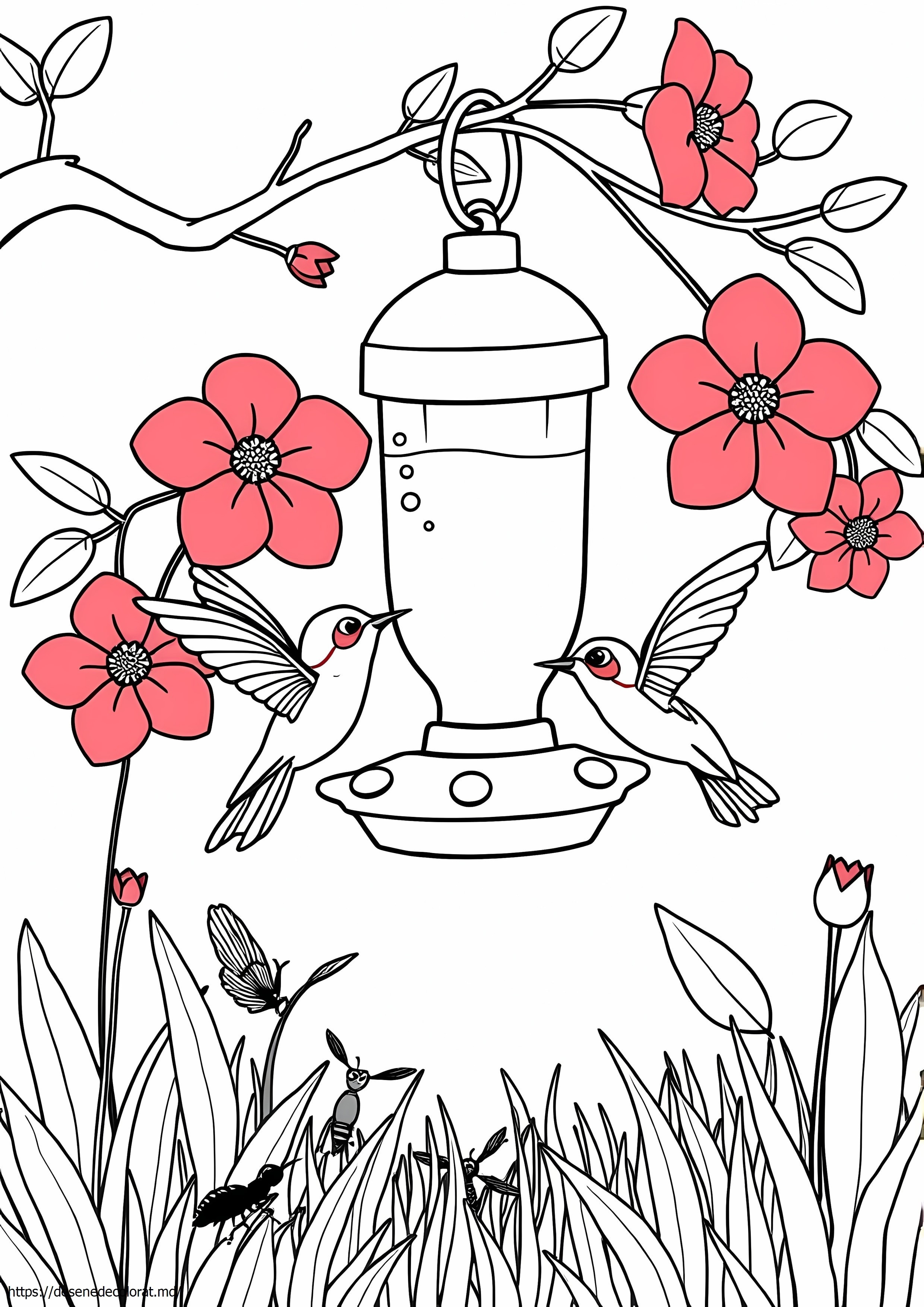 Hrana pentru colibri
