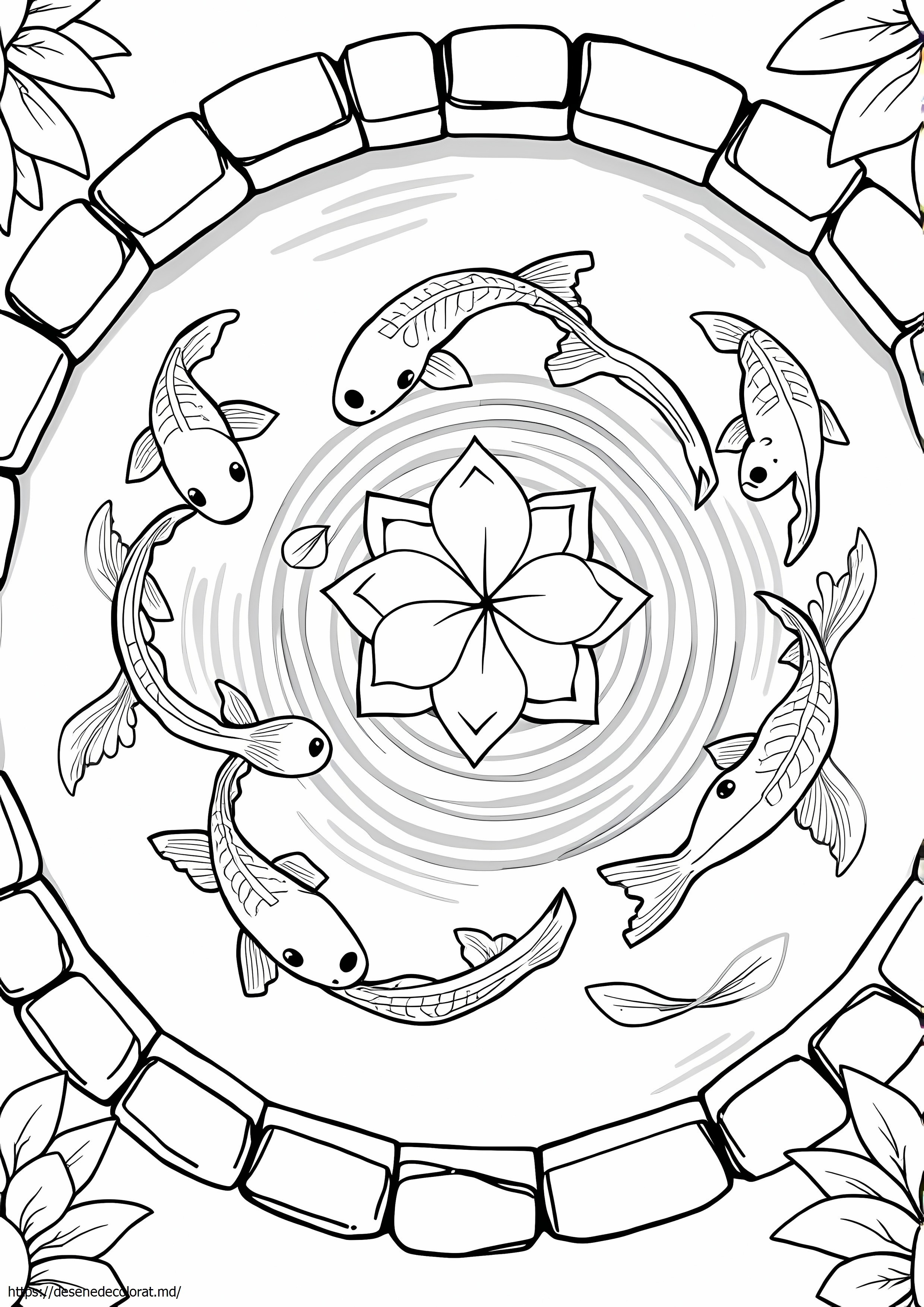 Iaz koi