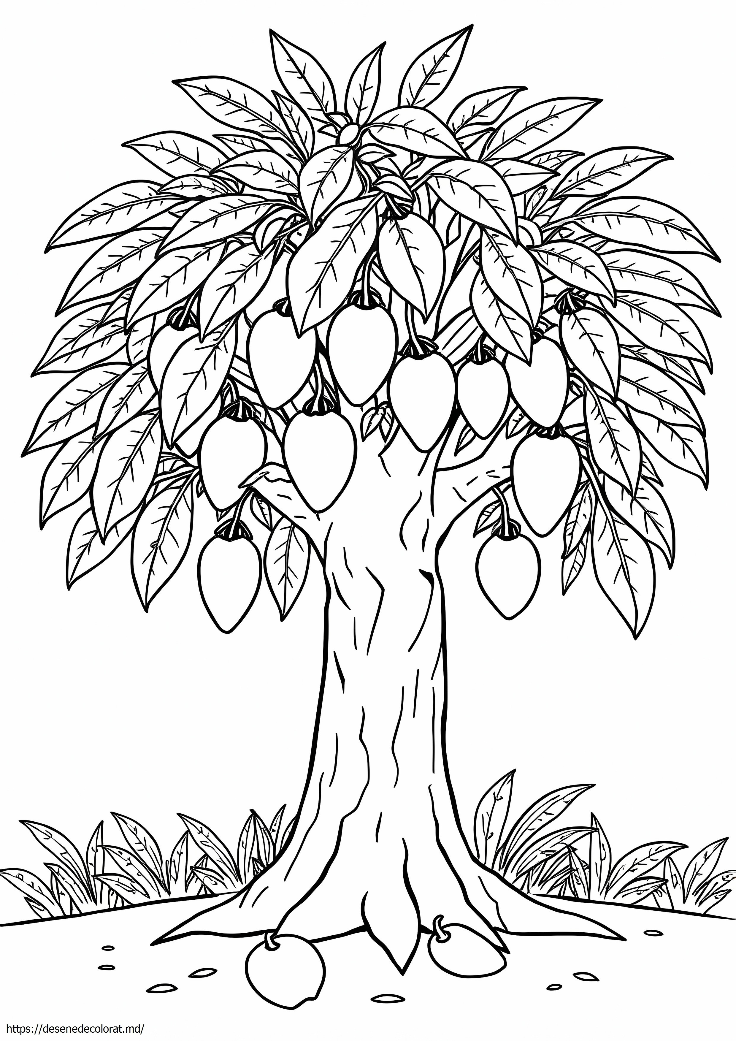 Arbore de mango