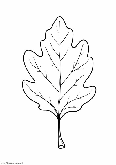 Frunza de stejar