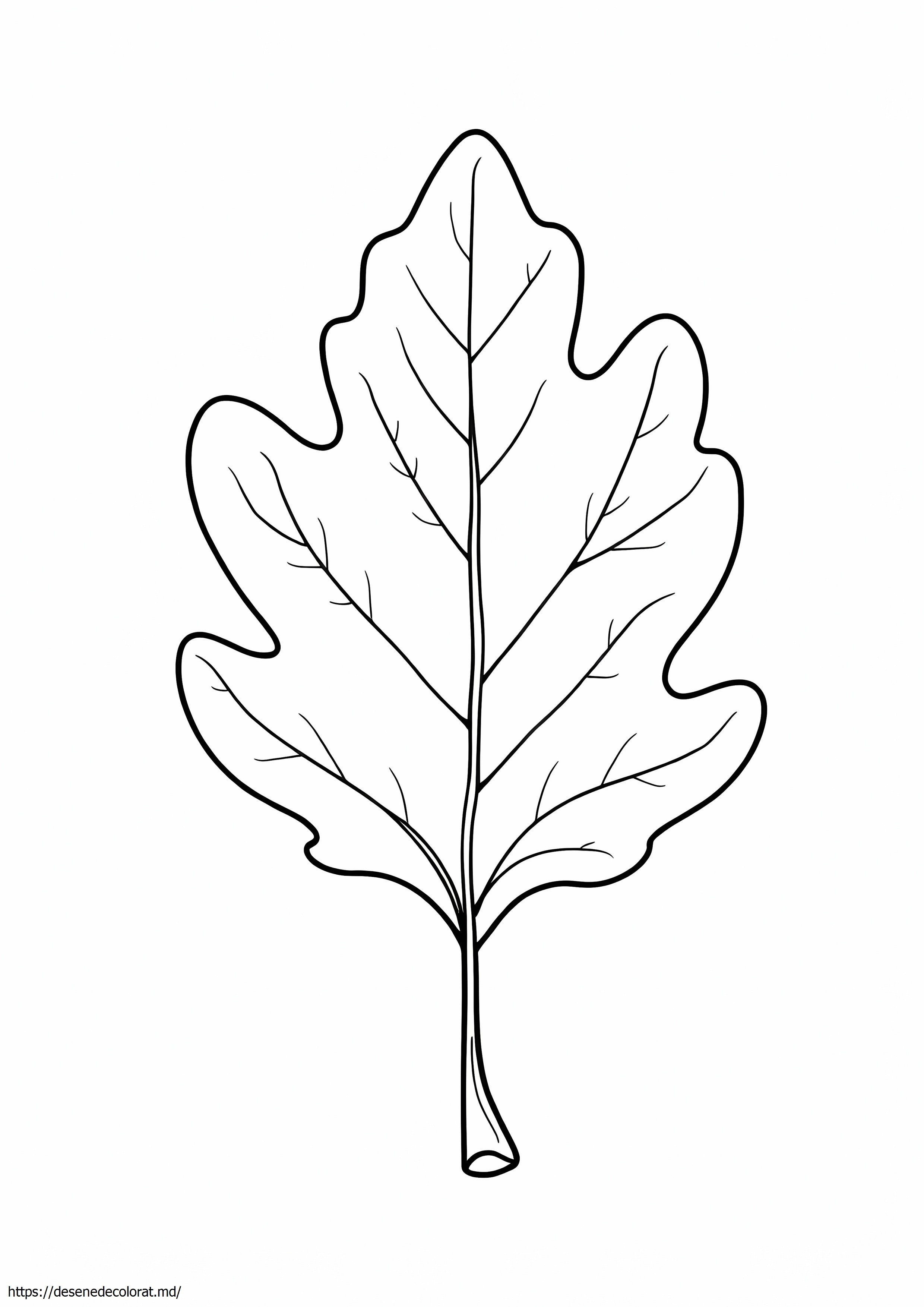 Frunza de stejar