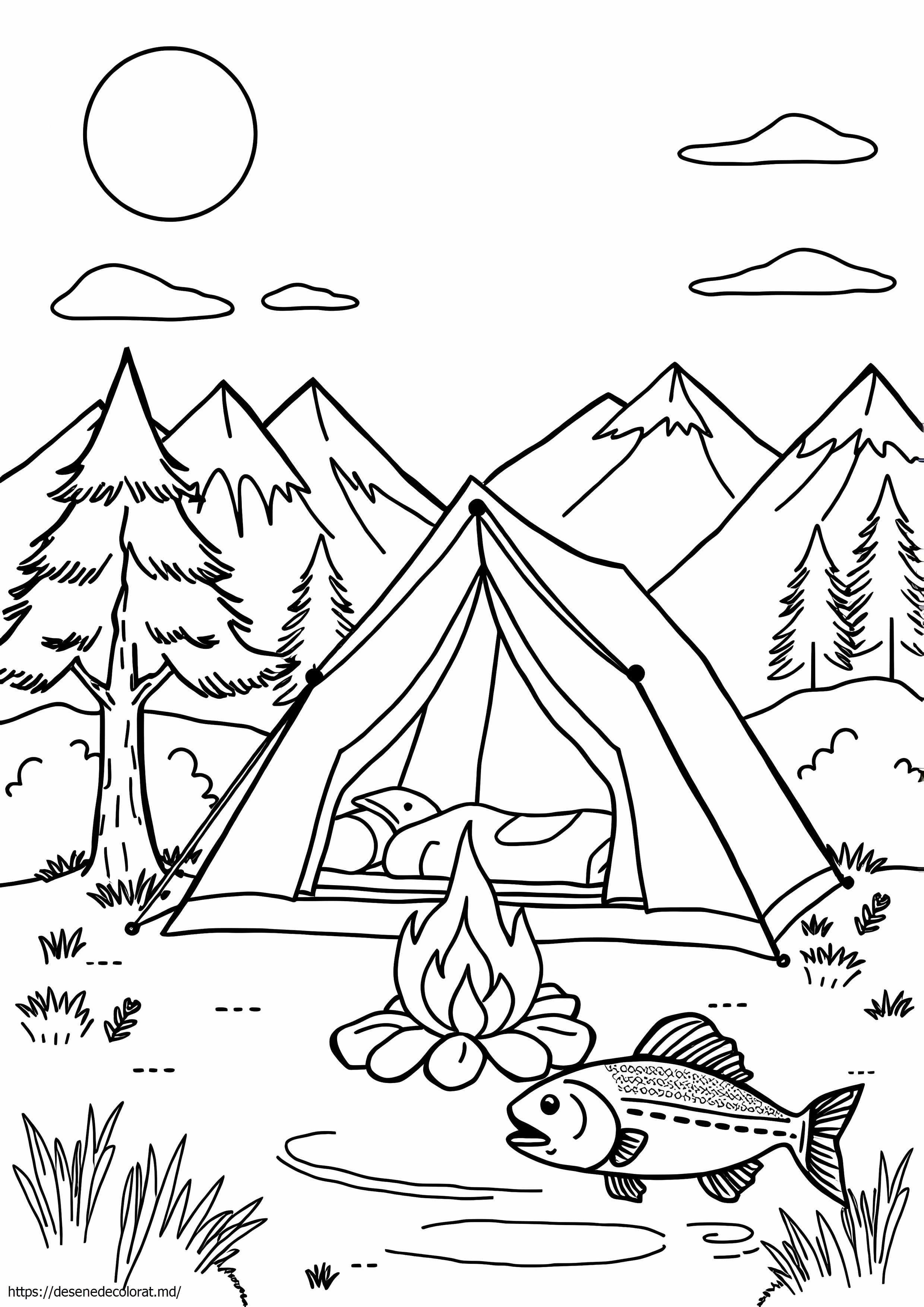 Camping în aer liber