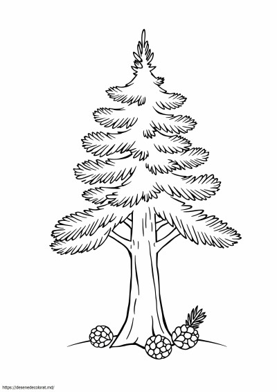 Pin