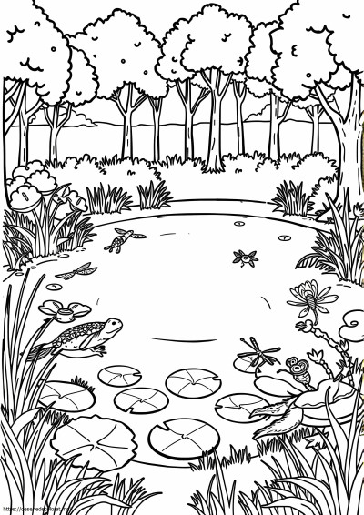 Iaz habitat iaz