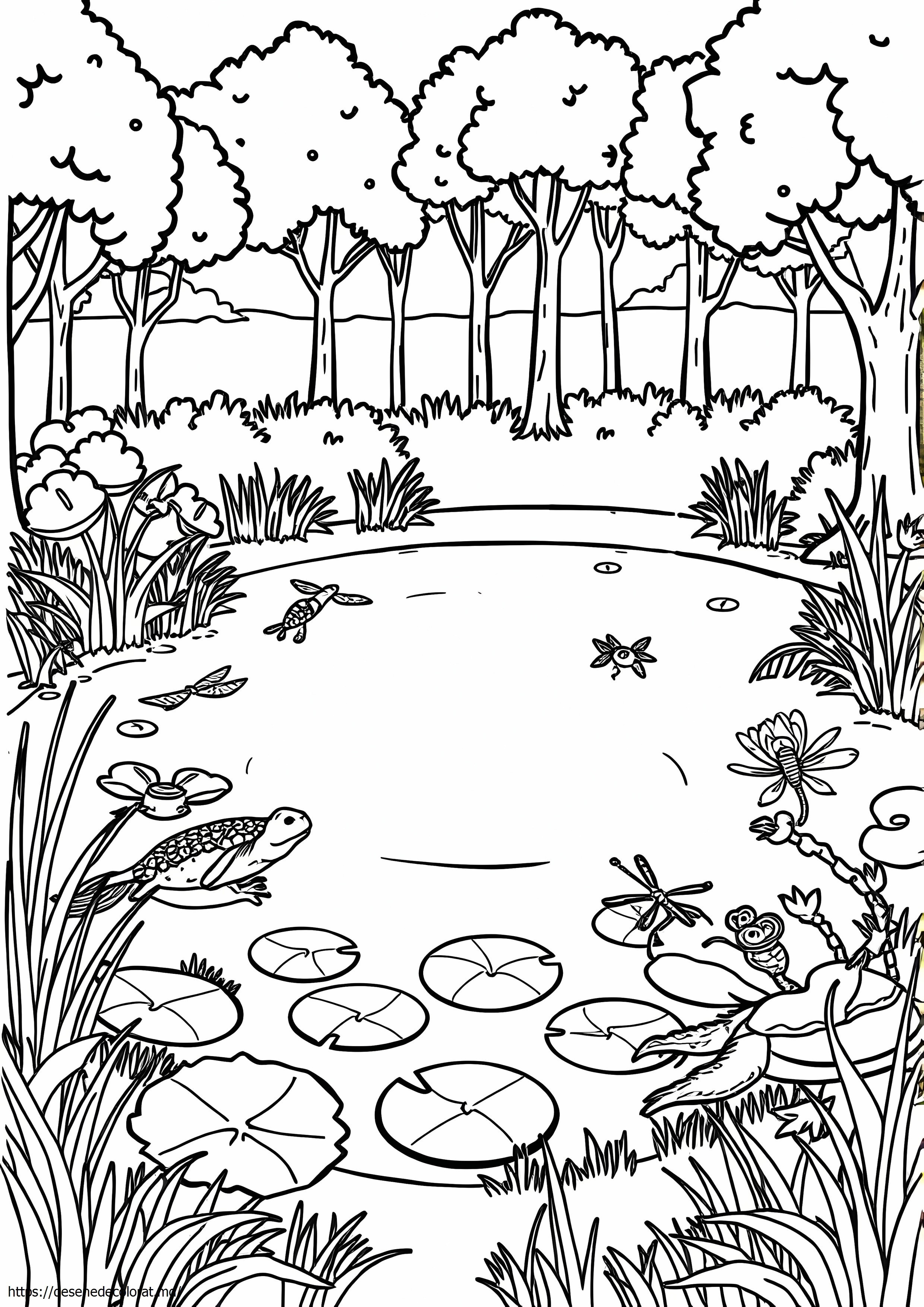 Iaz habitat iaz