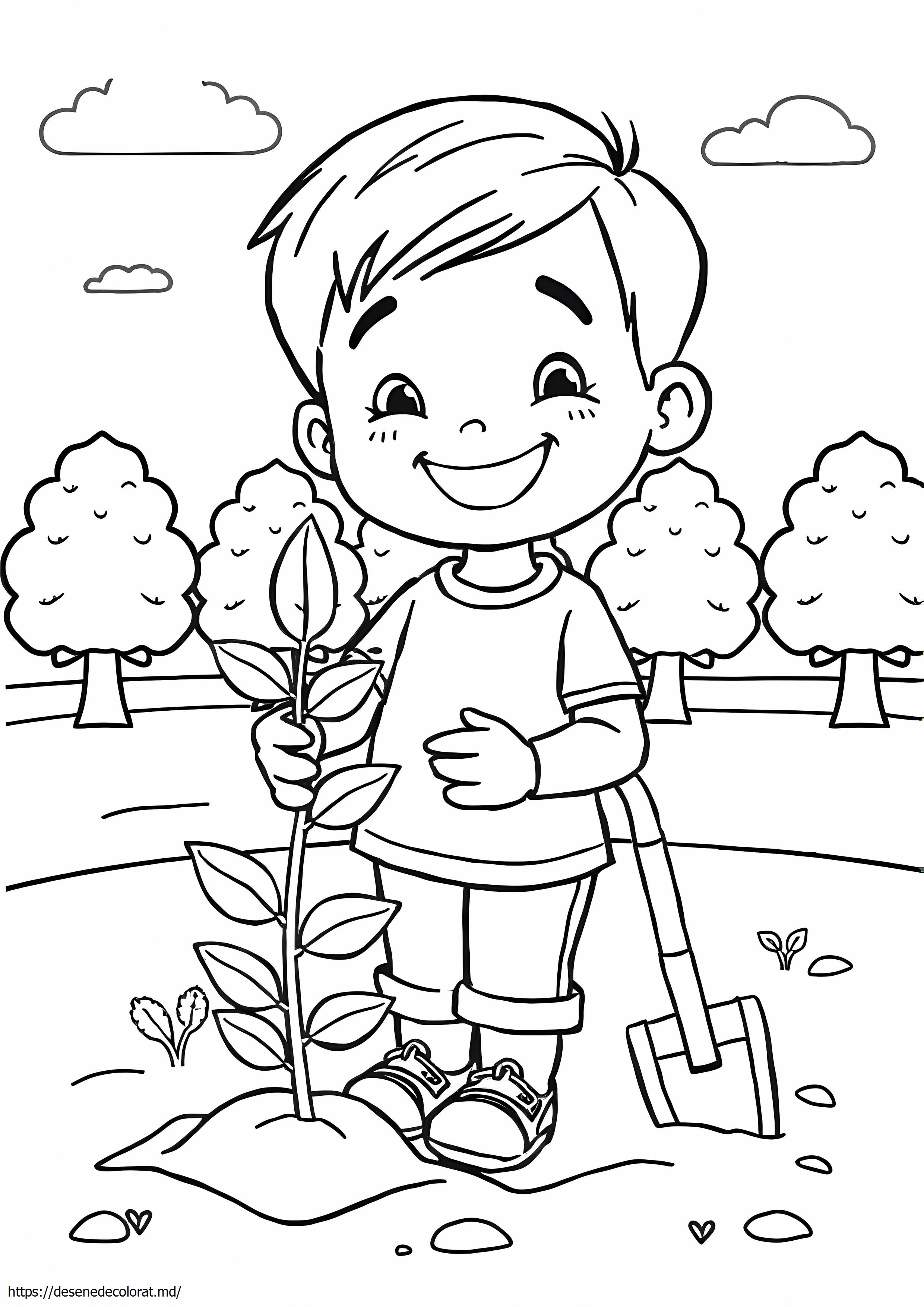 Plantarea copacilor