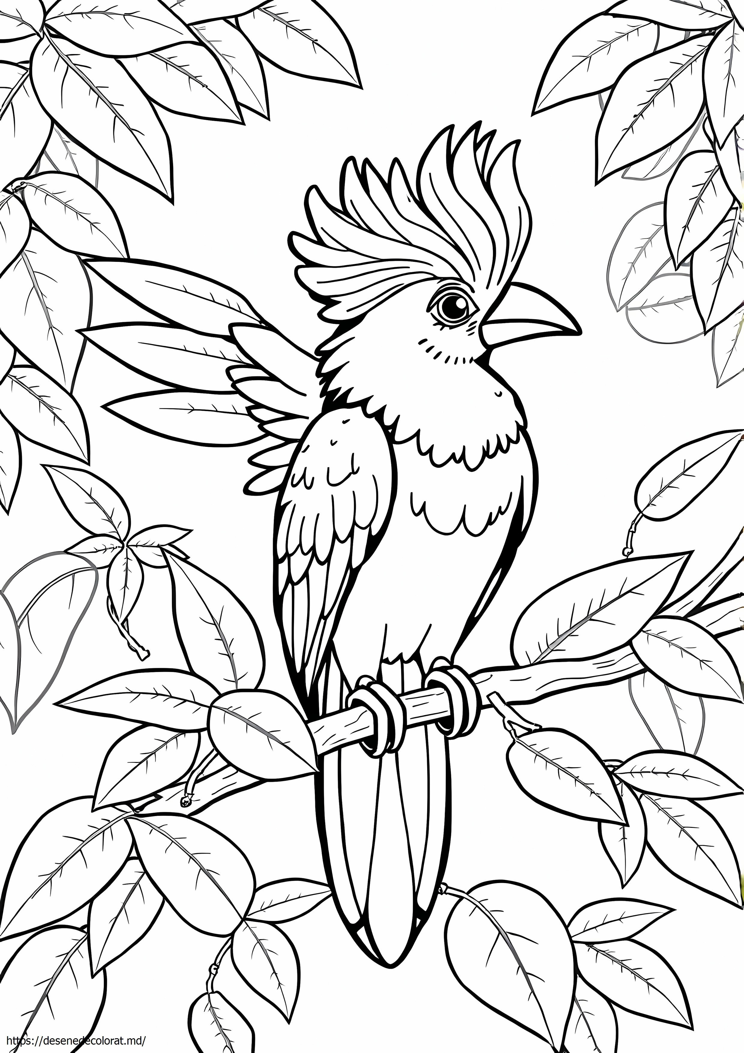 Pasăre quetzal