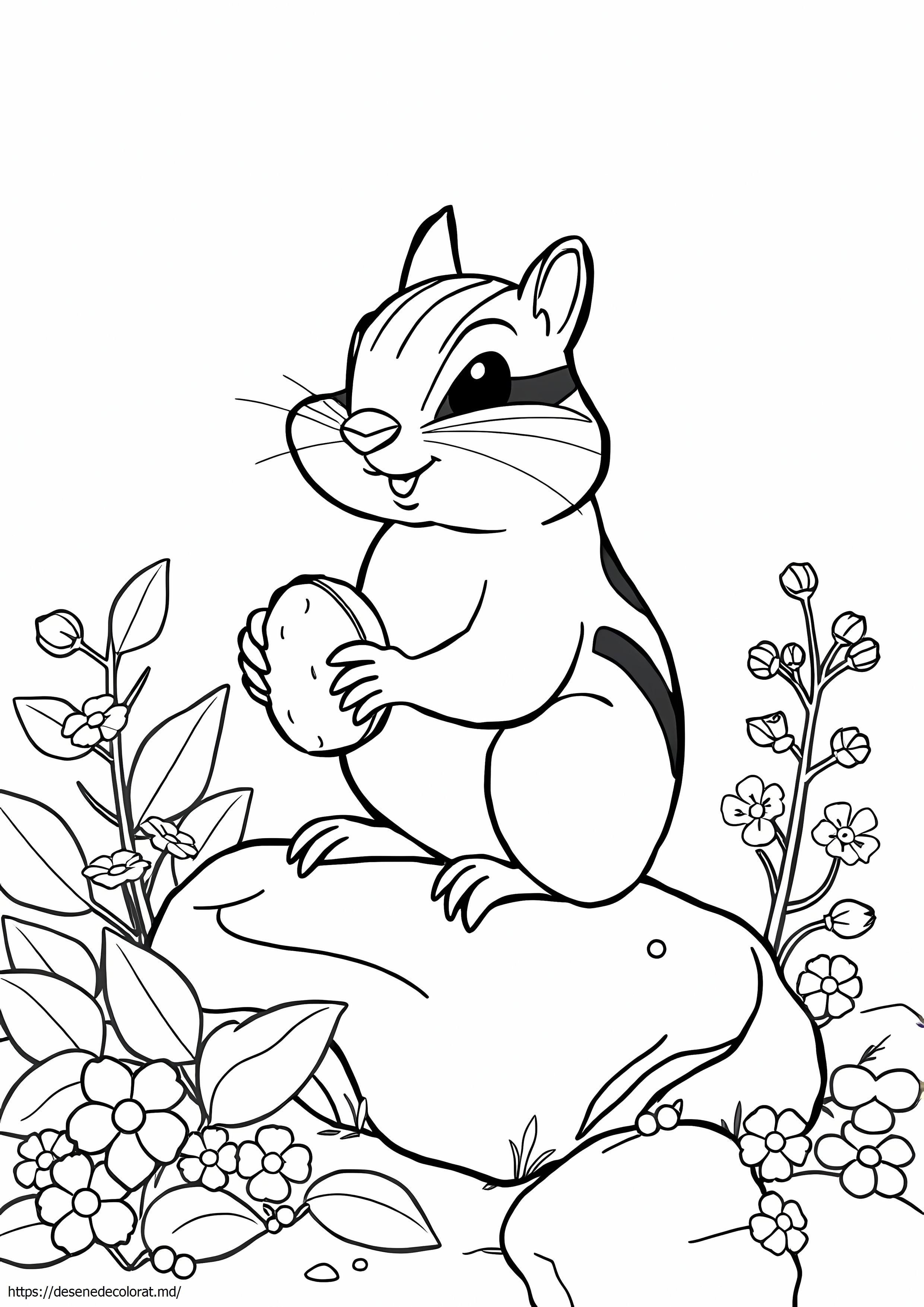 Chipmunk realistă